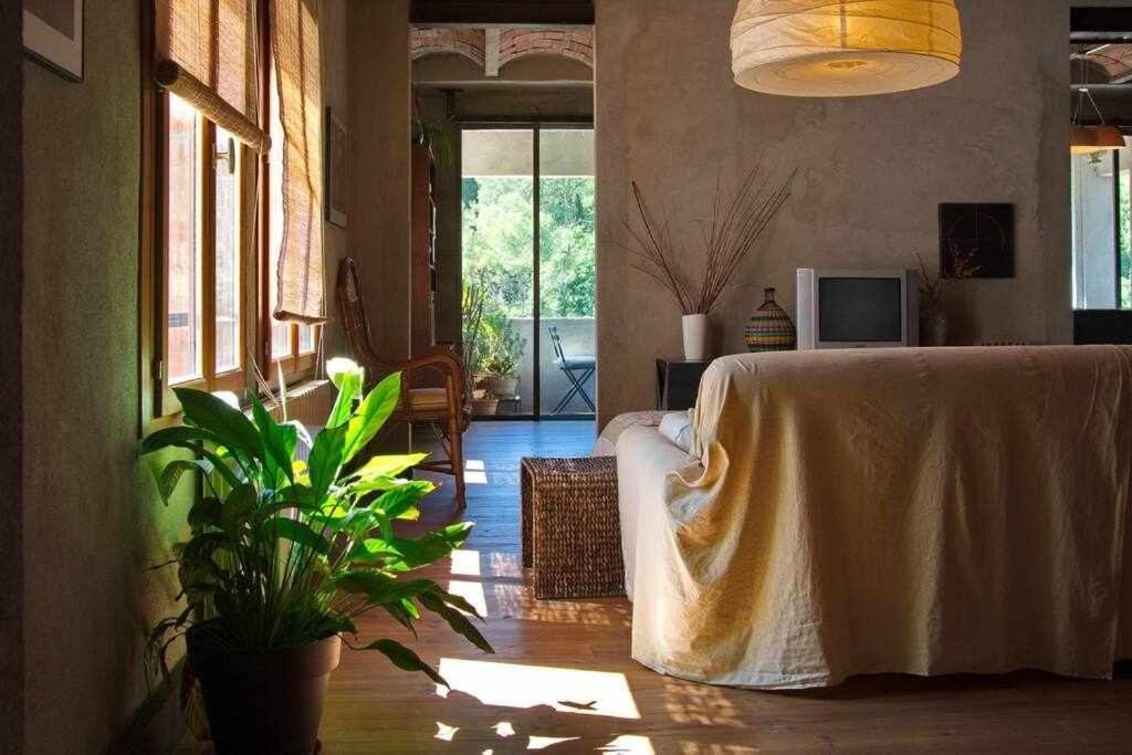 Sleep & Stay Artistico Loft Sant Daniel Жерона Екстер'єр фото